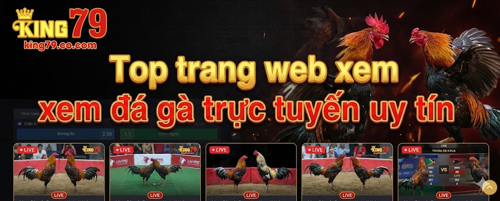 top-trang-web-xem-da-ga-truc-tuyen-uy-tin