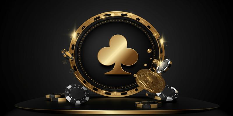 Cách xem tướng gà chọi chuẩn nhất từ các sư kê lão luyện